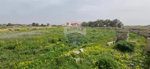Land for sale in Zurrieq