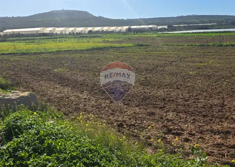 Agriculture Land for sale in Mgarr