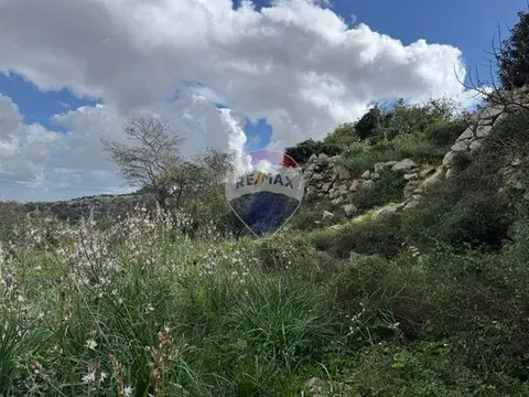 Agriculture Land for sale in Zebbug