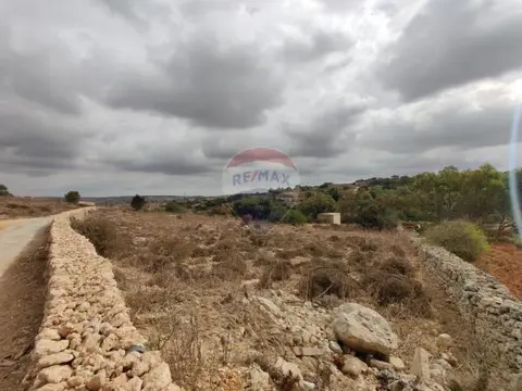 Agriculture Land for sale in Dingli
