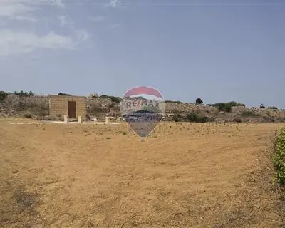 Agriculture Land for sale in Dingli