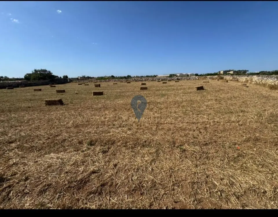 Field for sale in Siggiewi