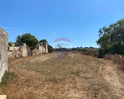 Agriculture Land for sale in Zejtun