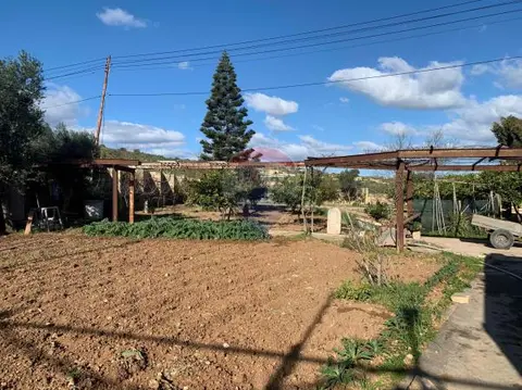 Agriculture Land for sale in Rabat