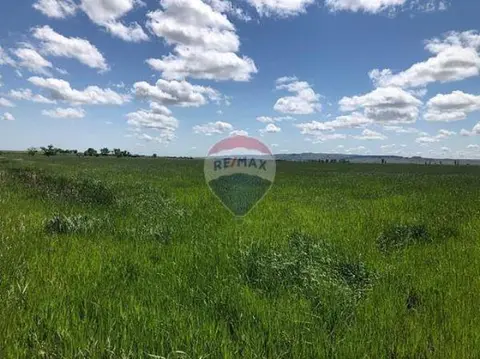Agriculture Land for sale in Mqabba
