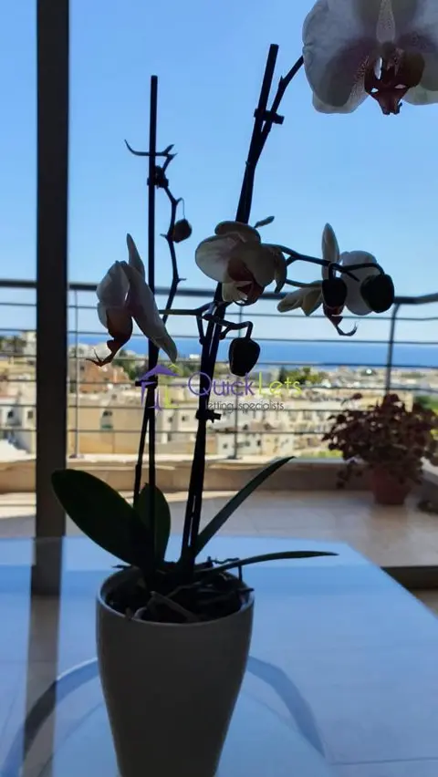 3 bedroom Apartment to rent in Swieqi