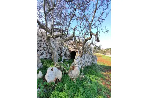Land For Sale in Dingli