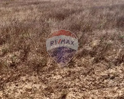 Agriculture Land for sale in Siggiewi