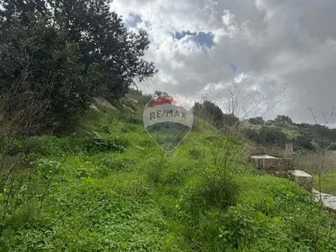 Agriculture Land for sale in Qormi