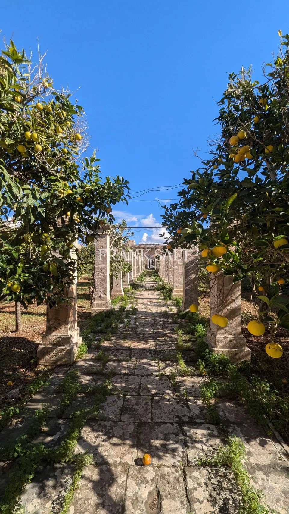 Zurrieq, Unconverted Palazzo