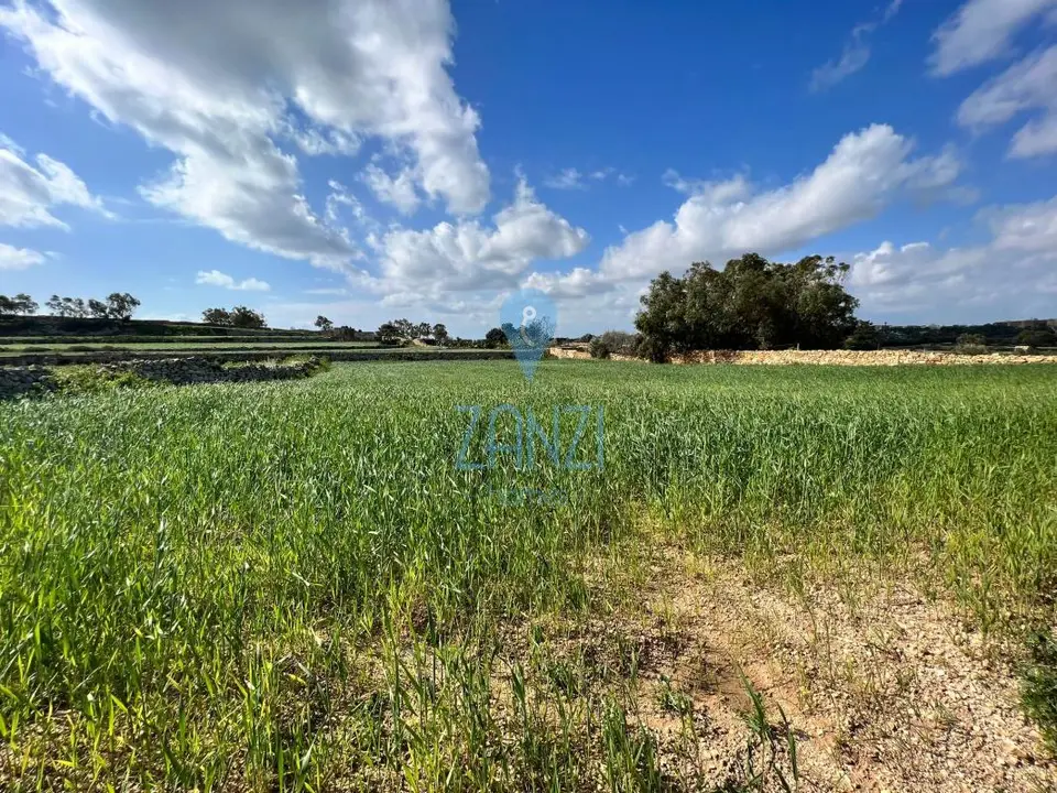 Land for sale in Zejtun