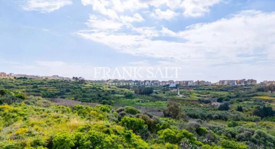 Nadur Shell form Penthouse