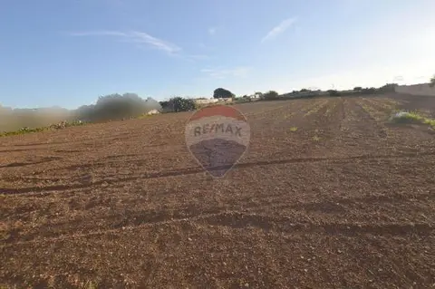 Agriculture Land for sale in Mqabba
