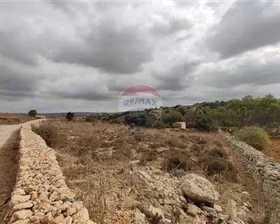 Agriculture Land for sale in Dingli