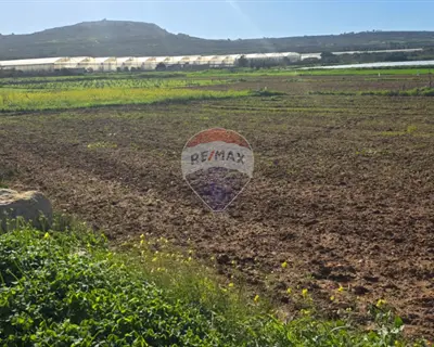 Agriculture Land for sale in Mgarr