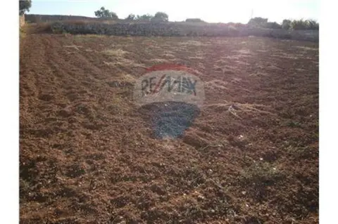 Agriculture Land for sale in Siggiewi