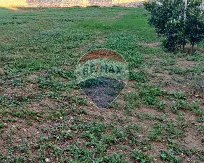 Agriculture Land for sale in Mgarr