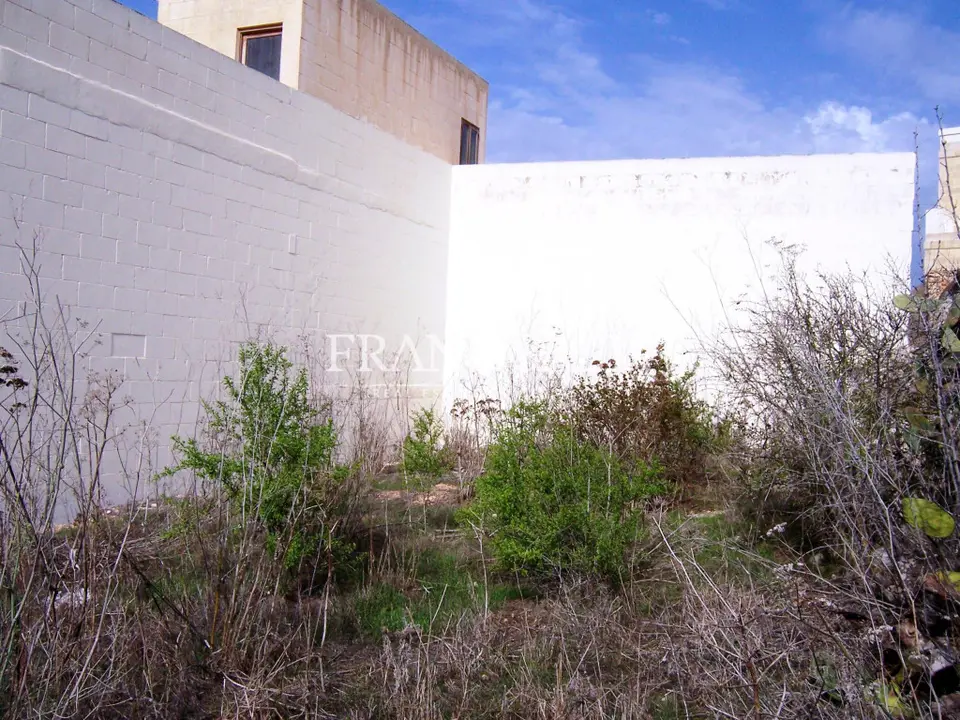 Qala Plot (Residential)
