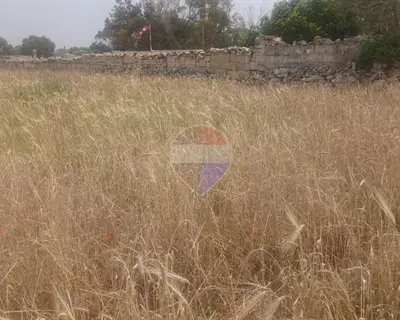 Agriculture Land for sale in Siggiewi