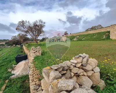 Agriculture Land for sale in Birzebbuga