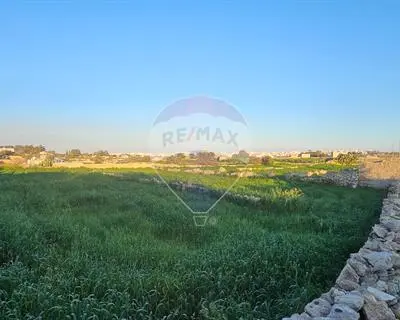 Agriculture Land for sale in Qrendi
