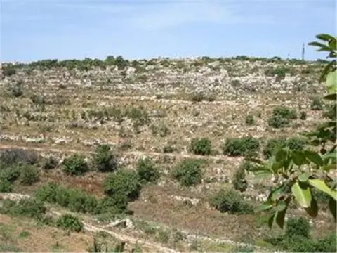 3 bedroom Apartment for sale in Madliena