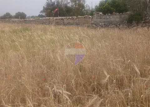 Agriculture Land for sale in Siggiewi