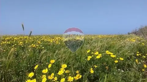 Agriculture Land for sale in Ghaxaq