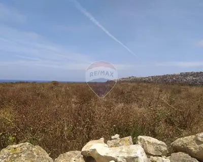 Agriculture Land for sale in Zabbar