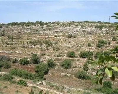 3 bedroom Apartment for sale in Madliena