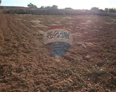 Agriculture Land for sale in Siggiewi