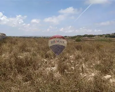 Agriculture Land for sale in Zabbar