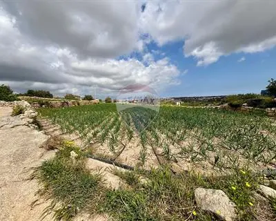 Agriculture Land for sale in Zebbug