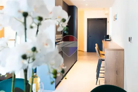 1 bedroom Studio Flat for sale in St Julian's