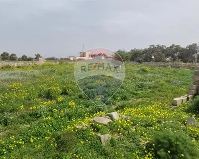 Land for sale in Zurrieq