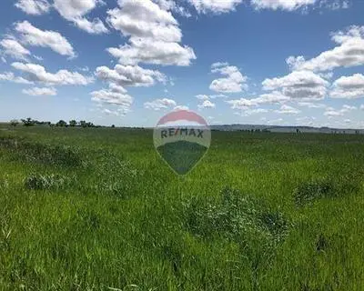 Agriculture Land for sale in Mqabba