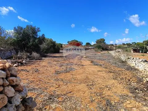 Agriculture Land for sale in Dingli