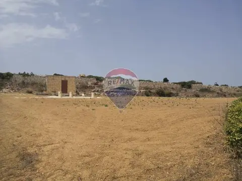 Agriculture Land for sale in Dingli
