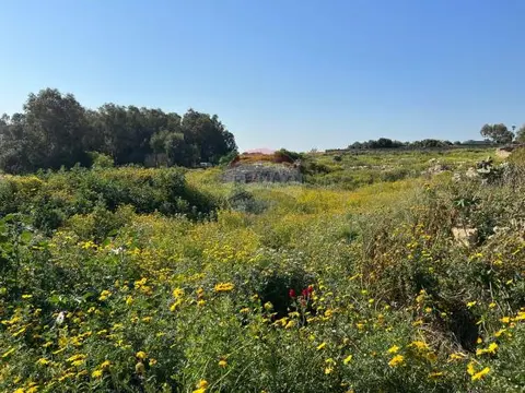 4 bedroom Farmhouse for sale in Birzebbuga