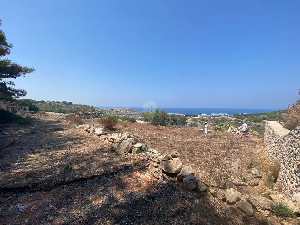 Field for sale in Gharghur