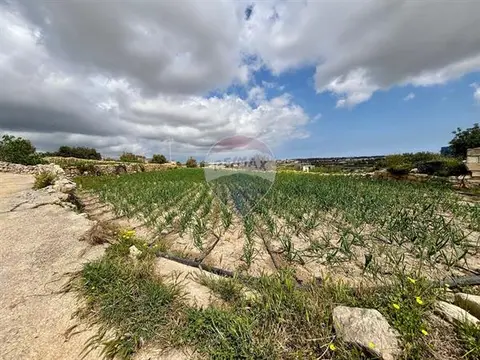 Agriculture Land for sale in Zebbug