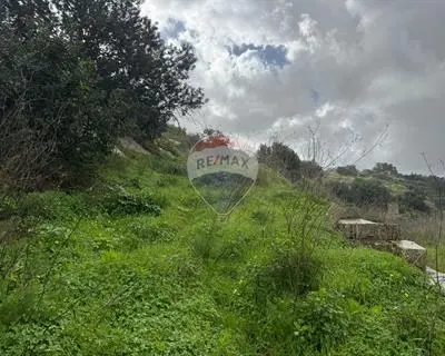 Agriculture Land for sale in Qormi