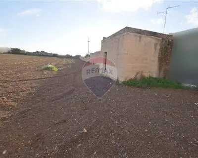 Agriculture Land for sale in Mqabba